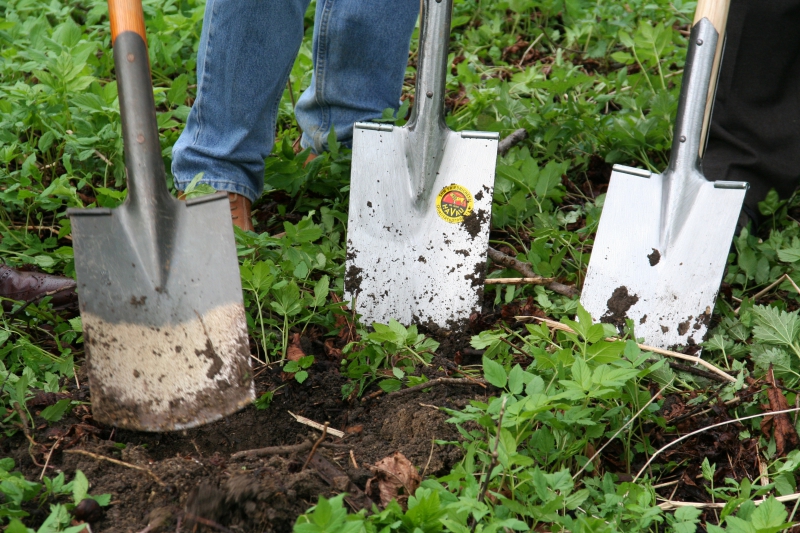 pepiniere-LA ROQUE ESCLAPON-min_work-lawn-flower-tool-green-backyard-1103633-pxhere.com